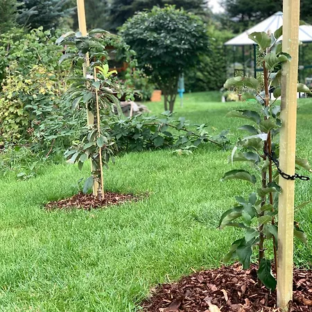 Landhotel Elterlein Мини-отель